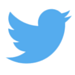 Twitter Logo